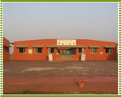 CENTRAL COURTYARD BETWEEN UNITS